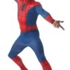 Spiderman Adult Costume